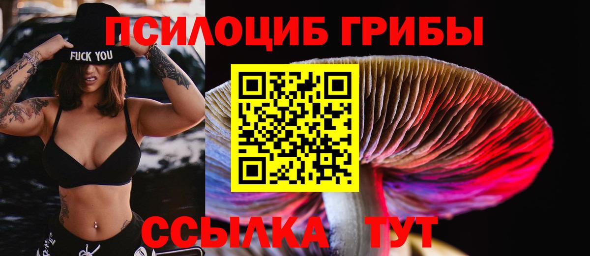 Люберцы  Галлюциногенные грибы мухоморы  Вход с VPN 